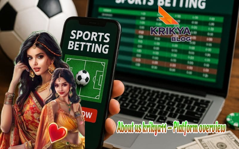 About us krikya11 – Platform overview