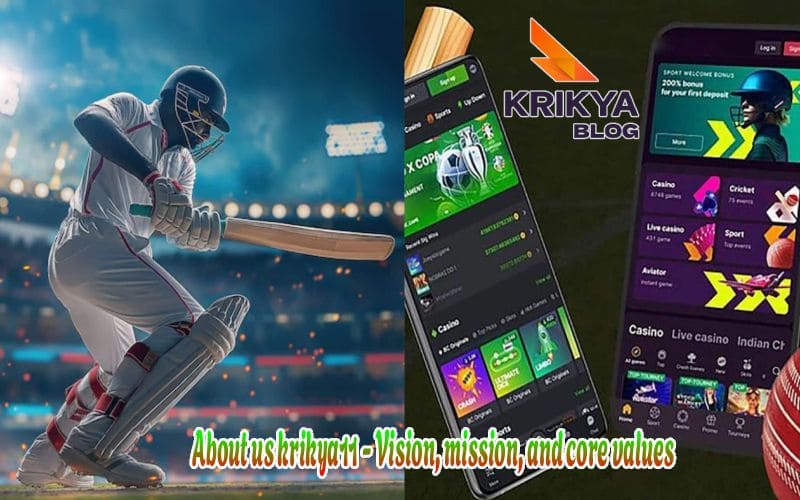 About us krikya11 - Vision, mission, and core values