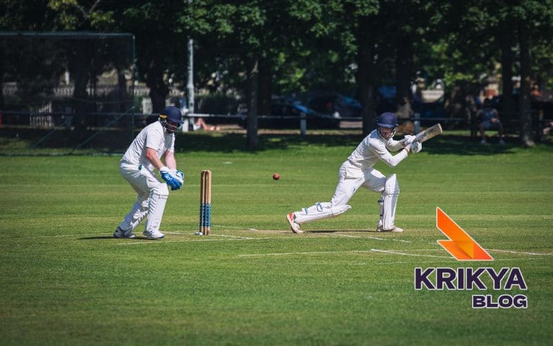 Cricket Betting Strategy to Optimize Win Rate