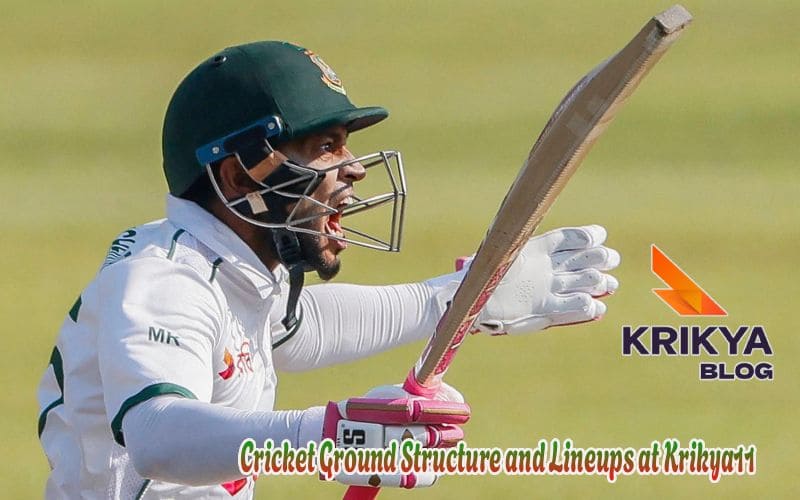 Cricket Ground Structure and Lineups at Krikya11