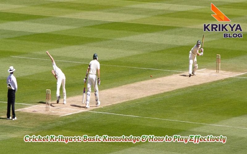 Cricket Krikya11: Basic Knowledge & How to Play Effectively