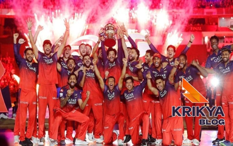 IPL 2025 Journey: RCB Champions
