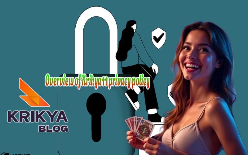 Overview of Krikya11 privacy policy