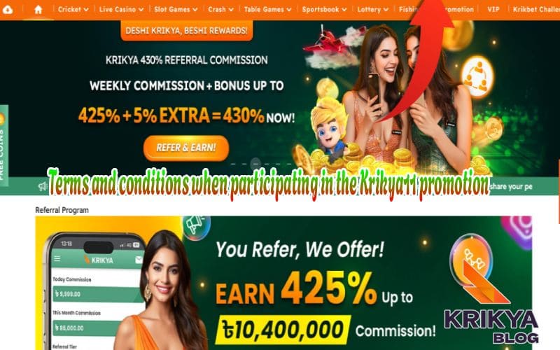 Terms and conditions when participating in the Krikya11 promotion