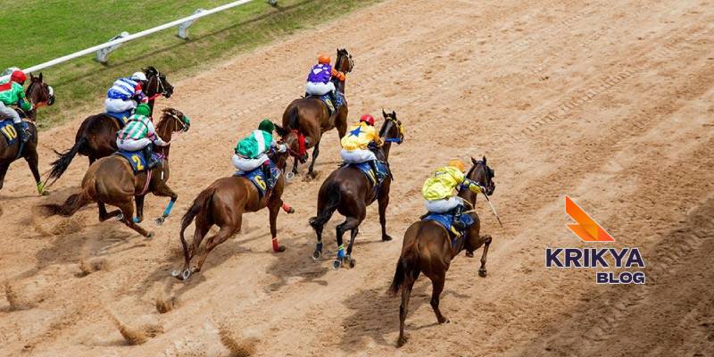 Platform Transparency And Virtual Horse Racing At krikya11