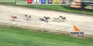 Virtual Greyhound Racing Mechanics And Betting Markets