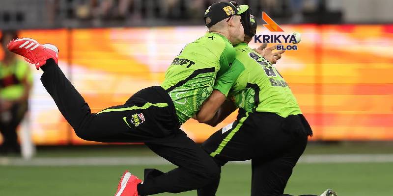 The Cricket Theme and Its Impact on Experience